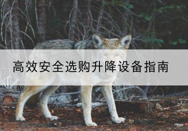 昆都仑升降货梯厂家推荐-*安全选购升降设备指南
