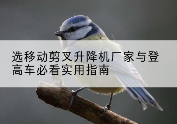 昆都仑电动升降机厂家-选移动剪叉升降机厂家与登高车必看实用指南